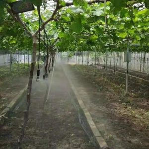 Hanging Jet Sprinkler Set