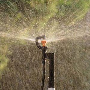 G Type Sprinkler Head