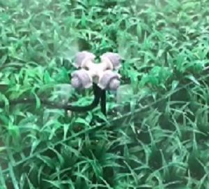 Four-outlet Fogger Sprinkler Head