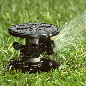Garden Pop Up Sprinkler, 3/4-inch Size, Rain Bird Type