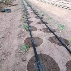Inline Drip Irrigation Tape