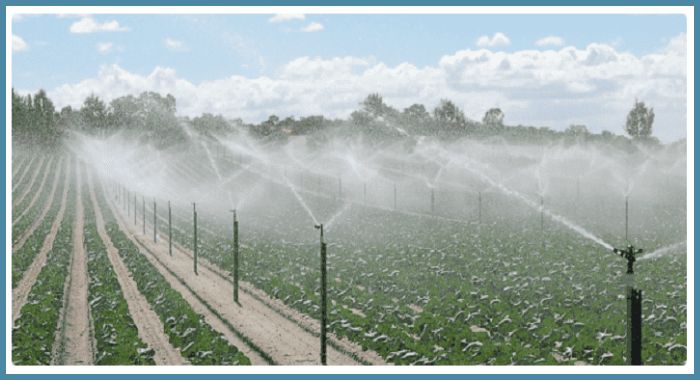 agriculture garden crop field sprinkler irrigation system for smart watering Bangladesh, ionex agro technology