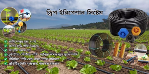 About Ionex Agro Technology
