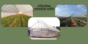 About Ionex Agro Technology