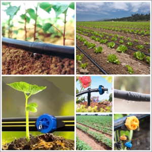 Drip Irrigation System